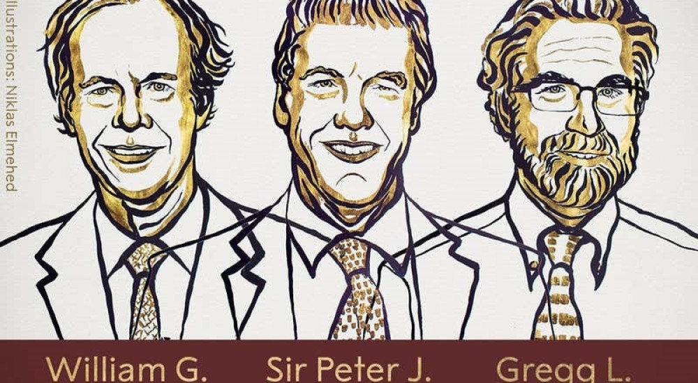 Premio Nobel de Medicina 2019