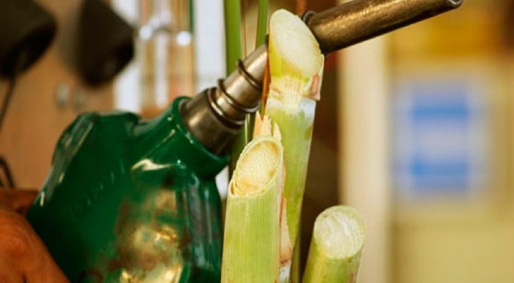 De la caña de azúcar al bioetanol, la transición biotecnológica que Morelos necesita